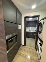 Sims Urban Oasis (D14), Condominium #583346511